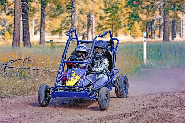 How to choose right type off road go karts