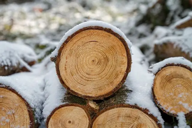 wood for carving