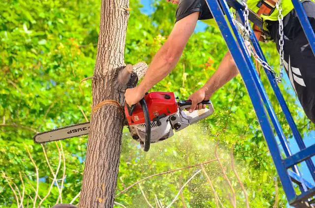 best beginner chainsaw