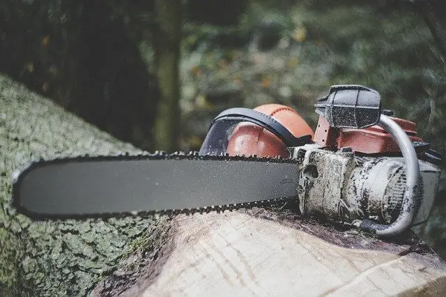 best arborist chainsaw