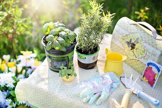 most essential gardening tools