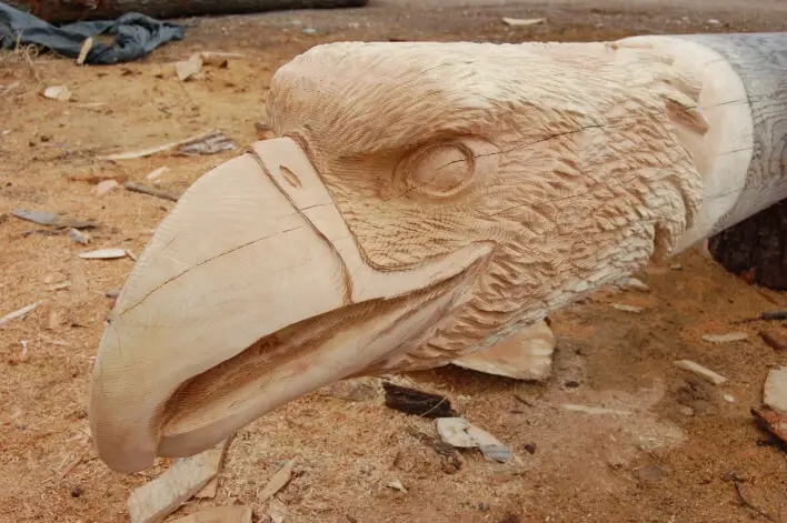 easy steps for chainsaw carving an eagle head