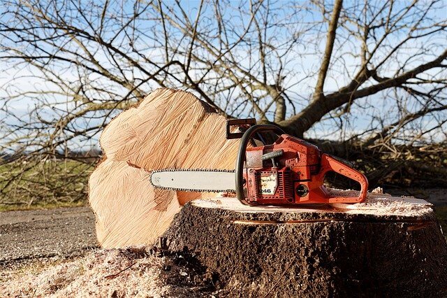 chainsaw parts and functions