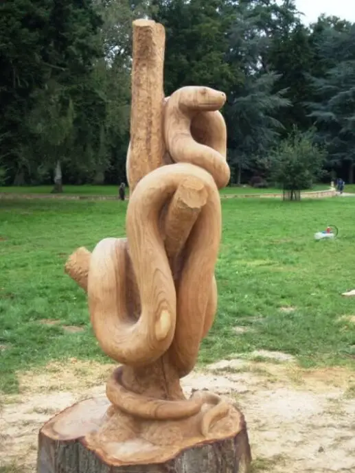 anaconda wrapped around a tree trunk chainsaw carving