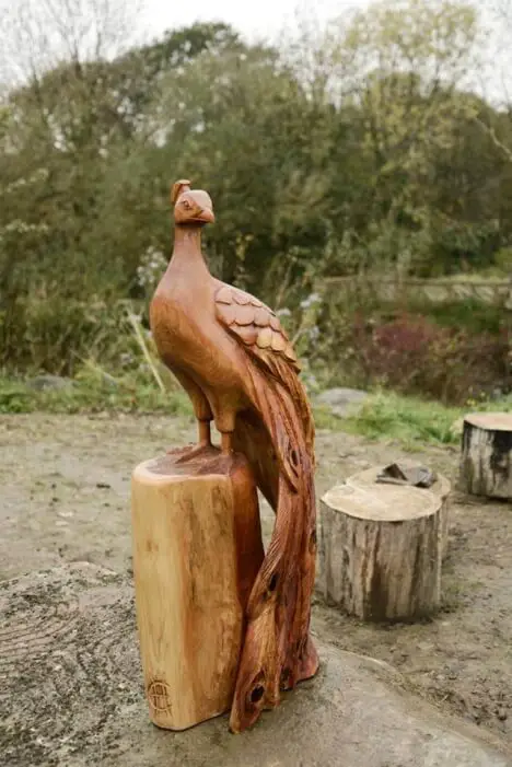 peacock sitting on a branch chainsaw-carving