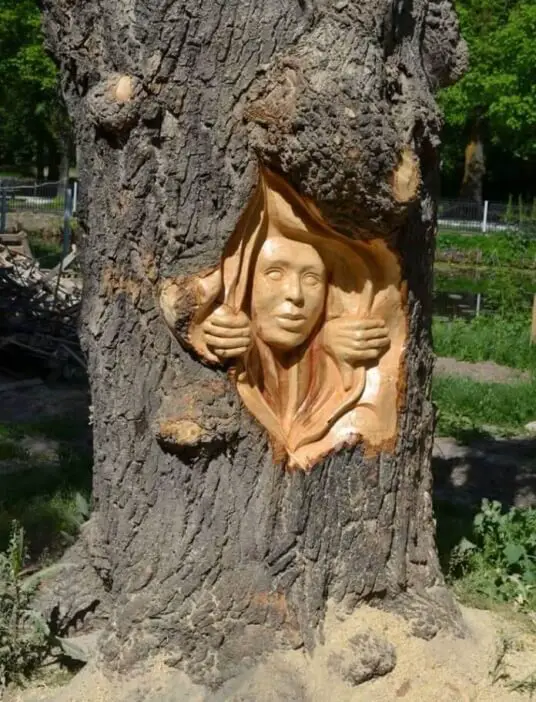 the face of a girl chainsaw carving