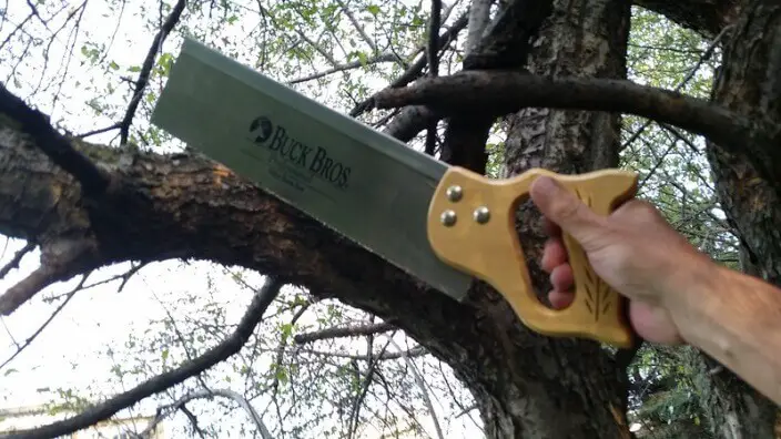 can you cut tree branch with circular saw