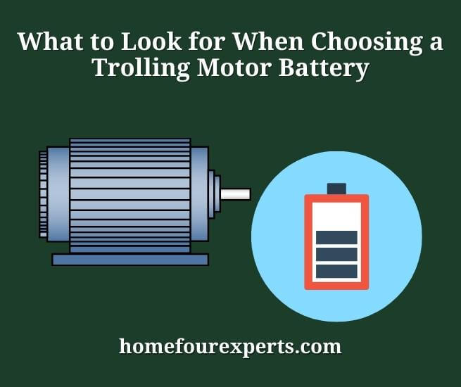 what to look for when choosing a trolling motor battery