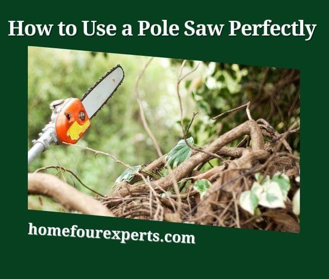how to use a pole saw perfectly