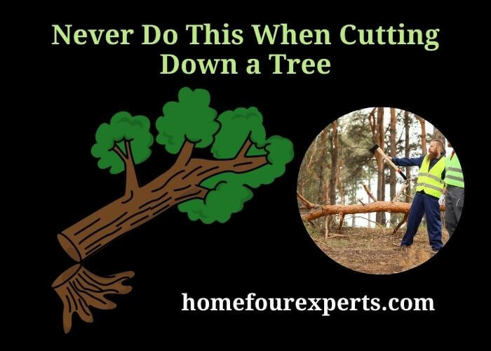 never do this when cutting down a tree