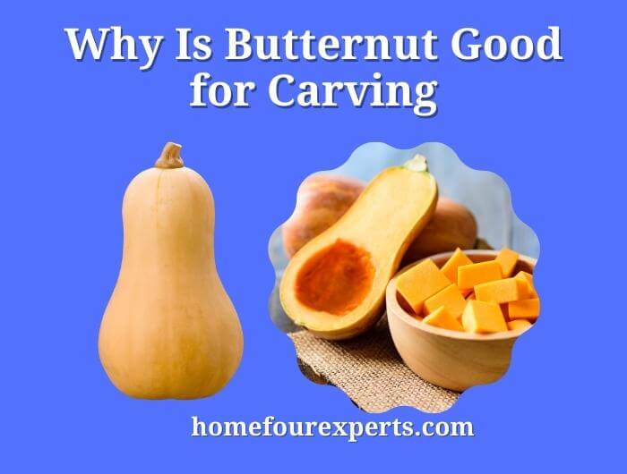 why is butternut good for carving