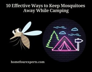 10 effective ways to keep mosquitoes away while camping