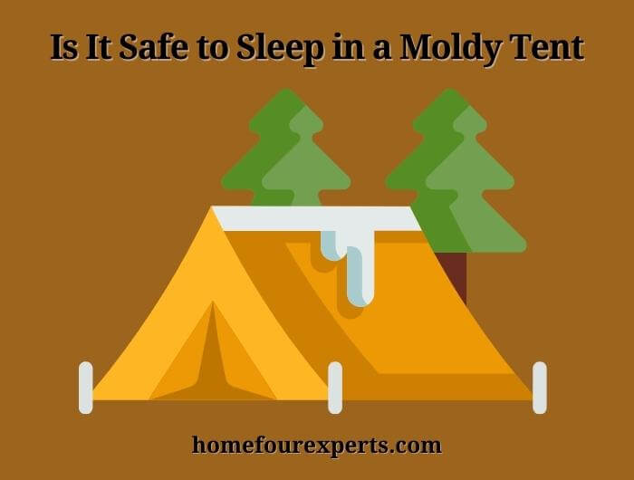 is it safe to sleep in a moldy tent