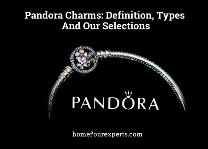 pandora charms definition, types and our selections