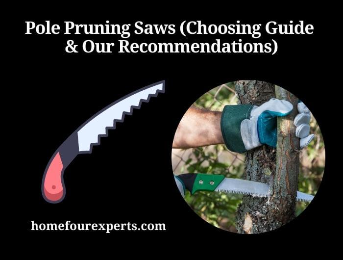 pole pruning saws (choosing guide & our recommendations)