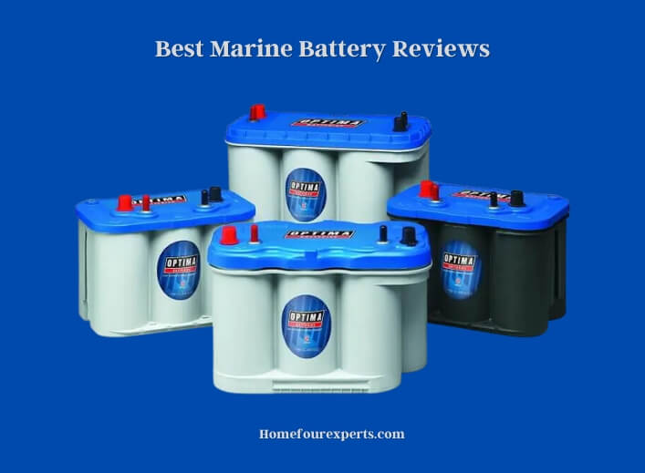 best marine battery reviews