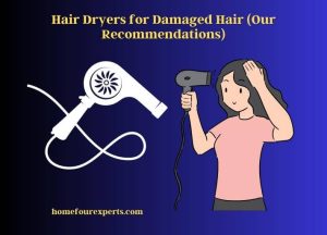 hair dryers for damaged hair (our recommendations)