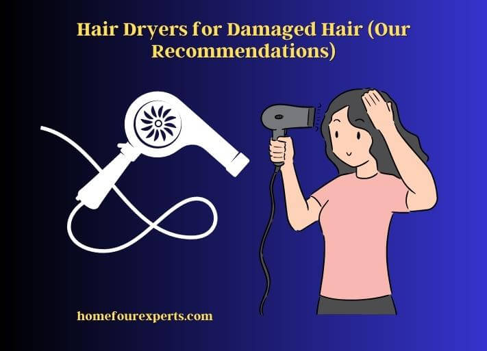 hair dryers for damaged hair (our recommendations)