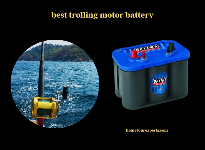 best trolling motor battery