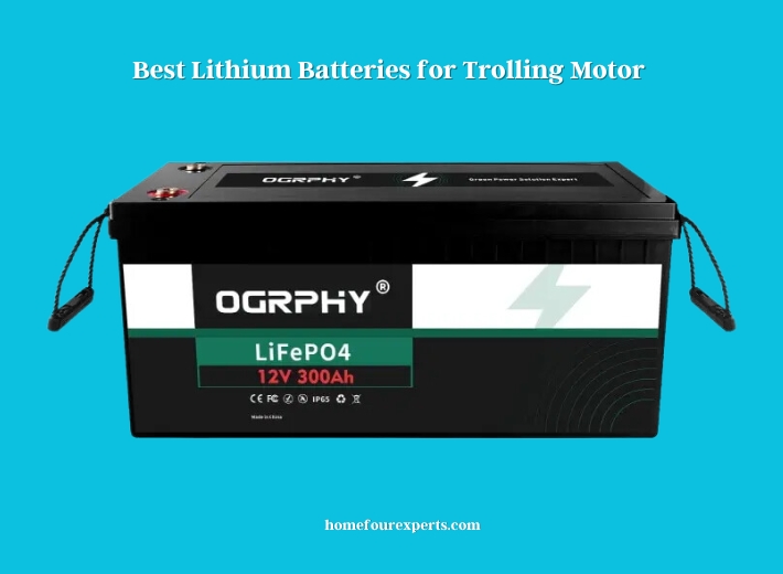 best lithium batteries for trolling motor