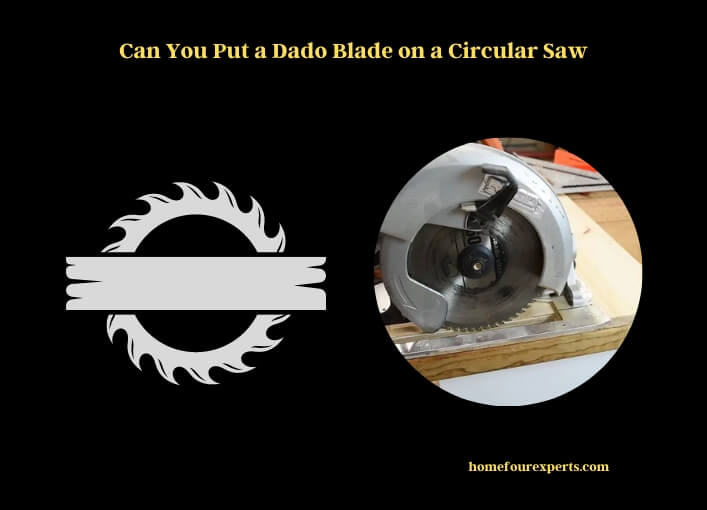 can you put a dado blade on a circular saw
