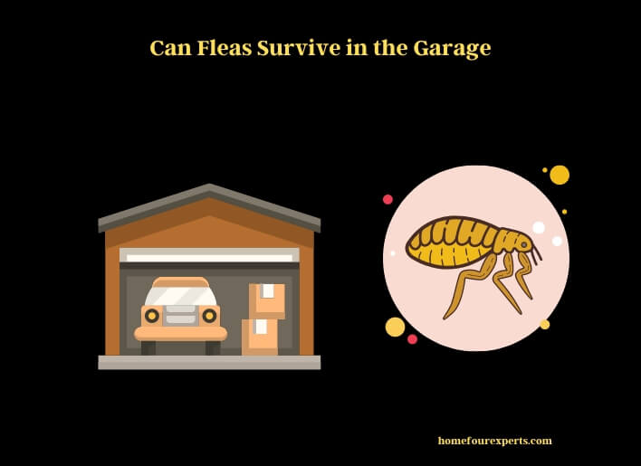 can fleas survive in the garage