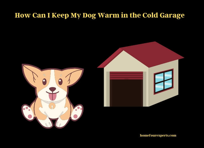 how can i keep my dog warm in the cold garage