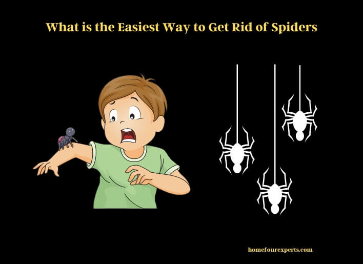 what is the easiest way to get rid of spiders