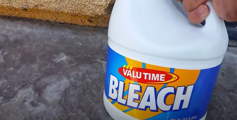 will bleach kill maggots