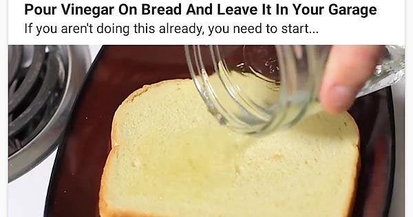 bread soaked in vinegar for weight loss