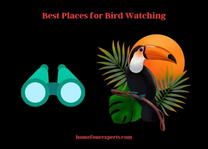 best places for bird watching