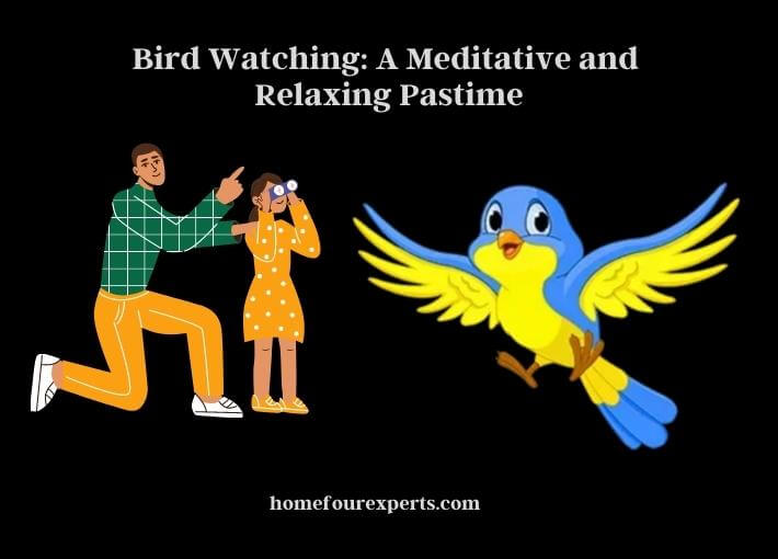 bird watching a meditative and relaxing pastime