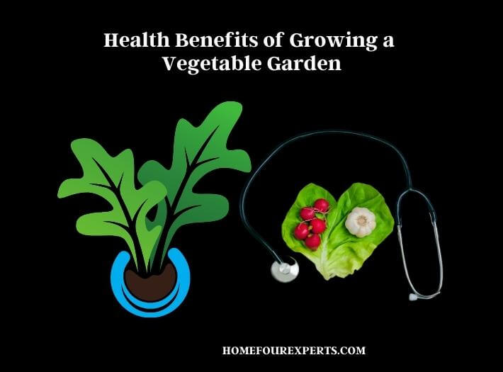 health benefits of growing a vegetable garden