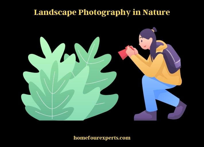 landscape photography in nature