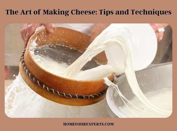 the art of making cheese tips and techniques