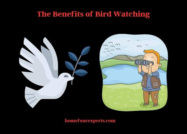 the benefits of bird watching