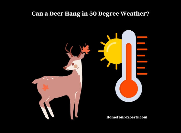 can a deer hang in 50 degree weather