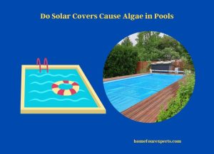 do solar covers cause algae in pools (1)