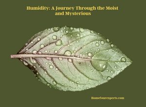 humidity a journey through the moist and mysterious