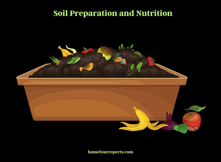 soil preparation and nutrition