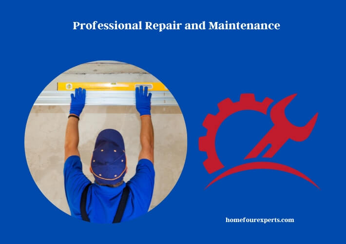 professional repair and maintenance